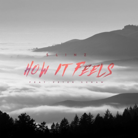 How it Feels (feat. Peter Schaw) | Boomplay Music