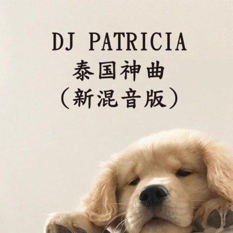DJ PATRICIA-泰国神曲 (新混音版) | Boomplay Music