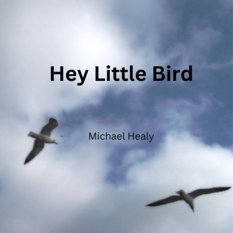 Hey Little Bird | Boomplay Music