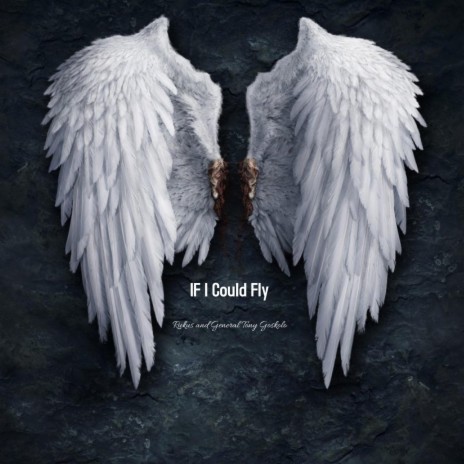 If I could Fly ft. Rukus | Boomplay Music