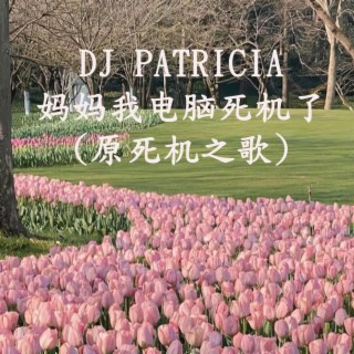 DJ PATRICIA -妈妈我电脑死机了(原死机之歌)