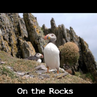 On the Rocks