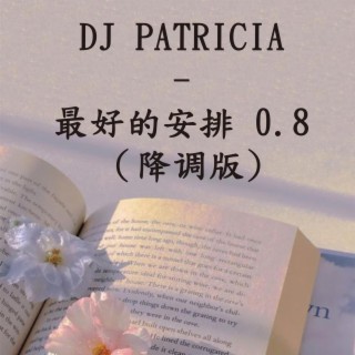 DJ PATRICIA - 最好的安排 0.8 （降调版)