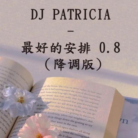 DJ PATRICIA - 最好的安排 0.8 （降调版) | Boomplay Music