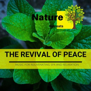 The Revival of Peace - Music for Rejuvenating Spa and Relaxation