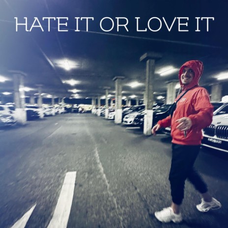 HATE IT OR LOVE IT