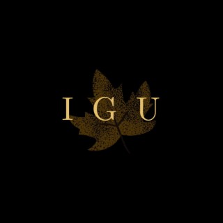 IGU