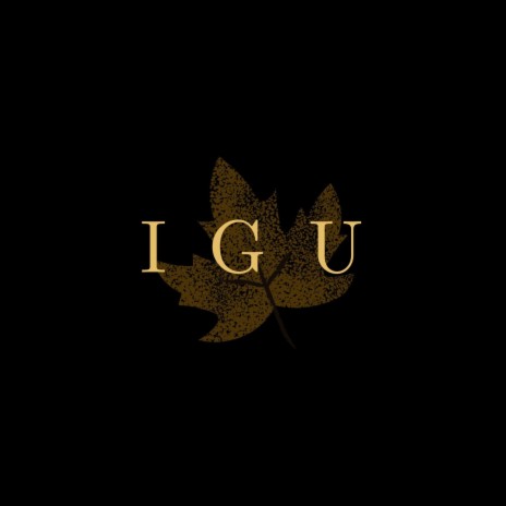IGU | Boomplay Music