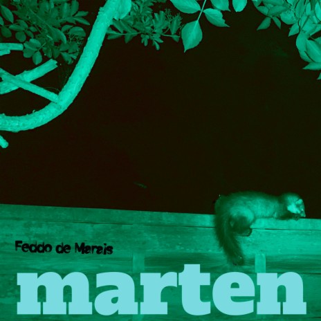 Marten sixteen | Boomplay Music