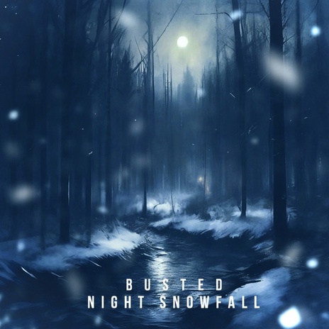 Night snowfall | Boomplay Music