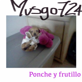 Ponche y frutillo