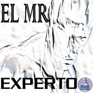 Experto