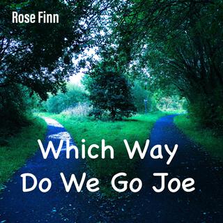 Which Way Do We Go Joe ft. Tom Tyson lyrics | Boomplay Music