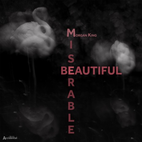 Beautiful Miserable (Original Mix) | Boomplay Music