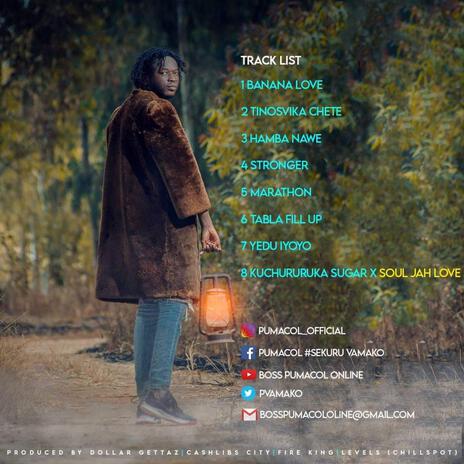 Tinosvika chete | Boomplay Music