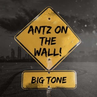 ANTZ on the WALL!