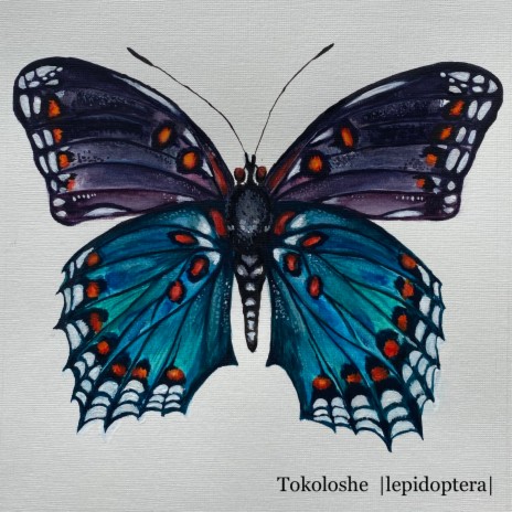 Lepidoptera | Boomplay Music