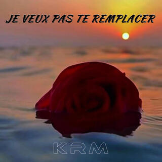 Je veux pas te remplacer