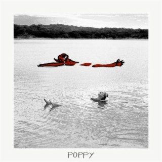 Poppy