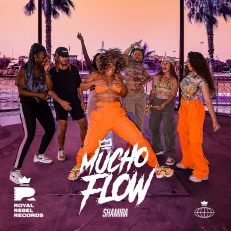 Mucho Flow | Boomplay Music