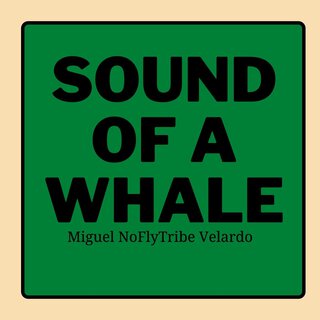 Sound of a Whale