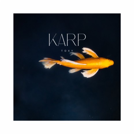 Karp (Radio Edit) | Boomplay Music