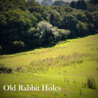 Old Rabbit Holes