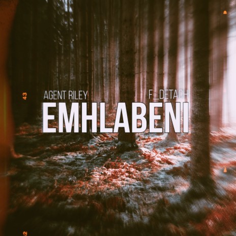 Emhlabeni ft. F_Detach | Boomplay Music