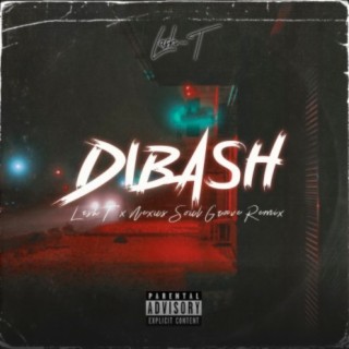 DiBash (Soul Groove Remix)