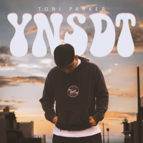 Ynsdt ft. Poltian | Boomplay Music