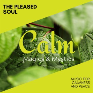 The Pleased Soul - Music for Calmness and Peace