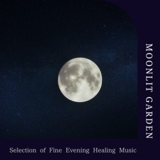 Selection of Fine Evening Healing Music