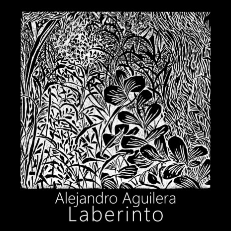 Laberinto | Boomplay Music