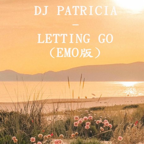 DJ PATRICIA -Letting Go (emo版) | Boomplay Music
