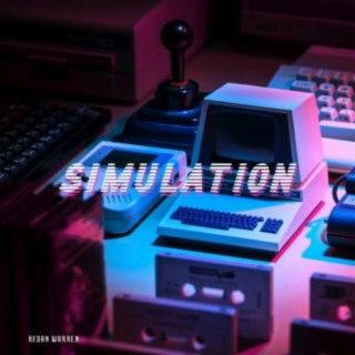 Simulation