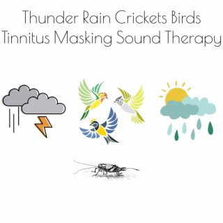 Thunder Rain Crickets Birds Tinnitus Masking Sound Therapy