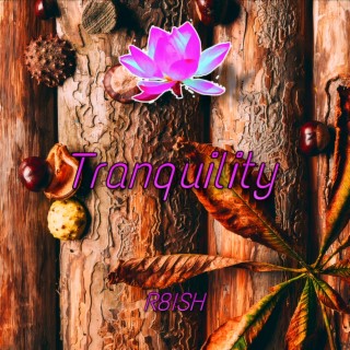 Tranquility: Ecstasy VIII