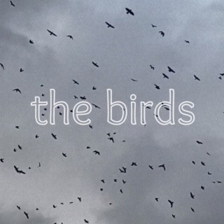 the birds lyrics | Boomplay Music