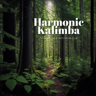 Harmonic Kalimba - Forest Symphony, Balance, Serenade