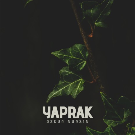 Yaprak | Boomplay Music