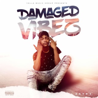 Damaged Vibez