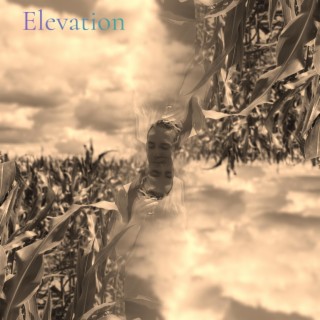 Elevation