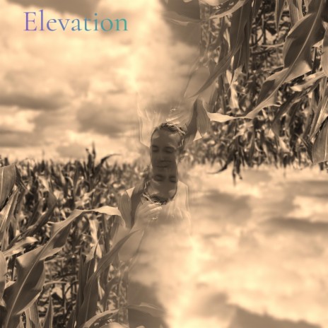 Elevation ft. MoniTek & REAKS