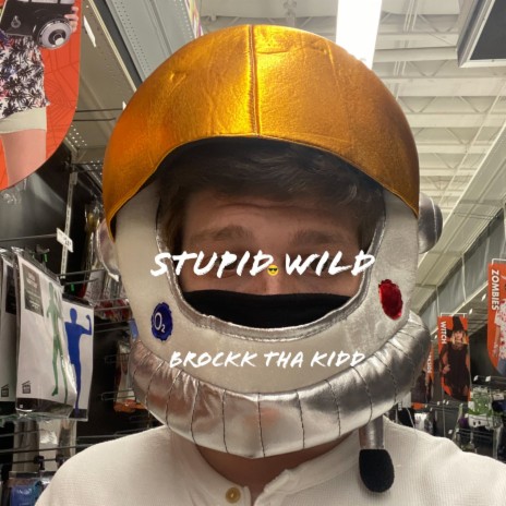 Stupid Wild