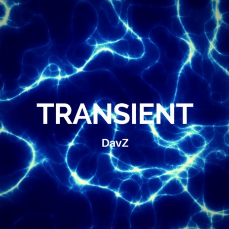 Transient | Boomplay Music