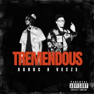Tremendous ft. Veeze lyrics | Boomplay Music