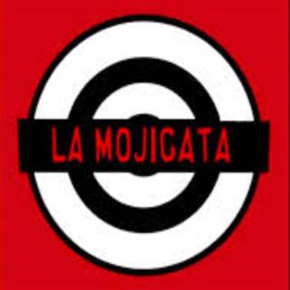 La Mojigata 2008 - una expecie en extinción