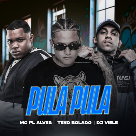 Pula Pula Arrochadeira ft. Dj Viele & mc pl alves | Boomplay Music