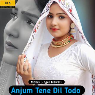 Anjum Tene Dil Todo