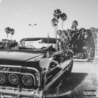 SOUTH CENTRAL:Palm Trees & Lowriders